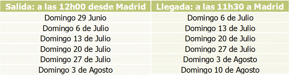 AUTOBUSES CAMPAMENTOS 2025 1